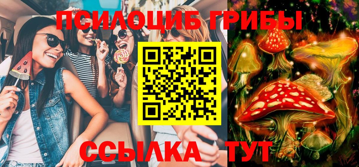 Галлюциногенные грибы GOLDEN TEACHER  Вход с VPN  купить  цена  Мытищи 